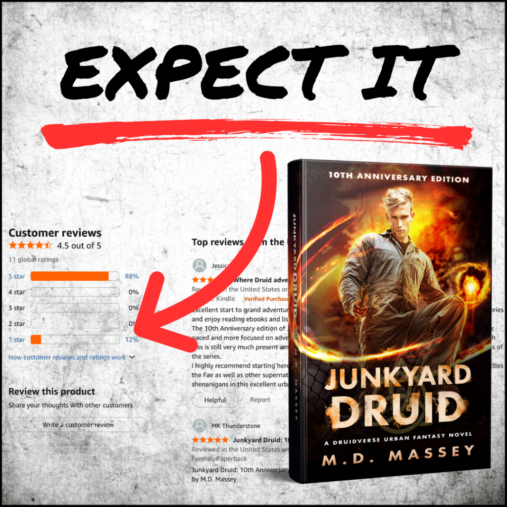 Screenshot of a negative review of my novel, Junkyard Druid, illustrating what to do when you get bad reviews for your novels.